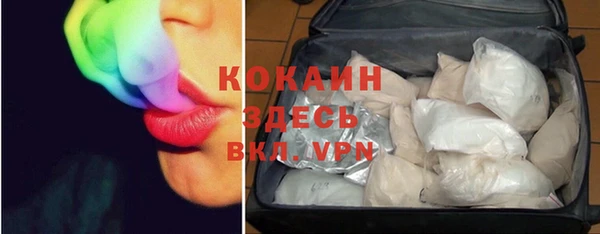 spice Дмитриев