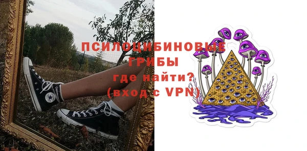 ГАЛЛЮЦИНОГЕННЫЕ ГРИБЫ Дмитров