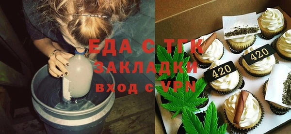 spice Дмитриев
