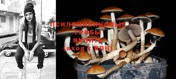 spice Дмитриев