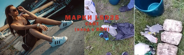 ГАЛЛЮЦИНОГЕННЫЕ ГРИБЫ Дмитров
