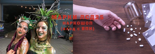 spice Дмитриев