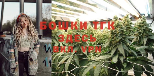 spice Дмитриев