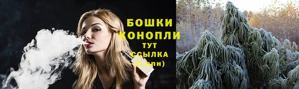 ГАЛЛЮЦИНОГЕННЫЕ ГРИБЫ Дмитров