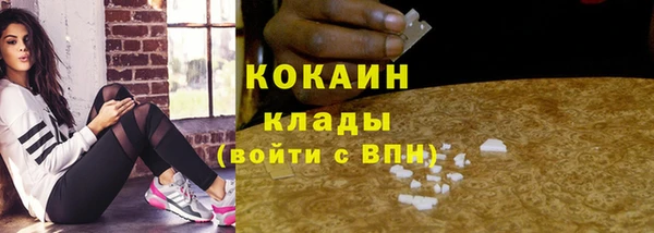 таблы Гусев